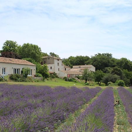 Les Anes De Forcalquier Hotel Kültér fotó