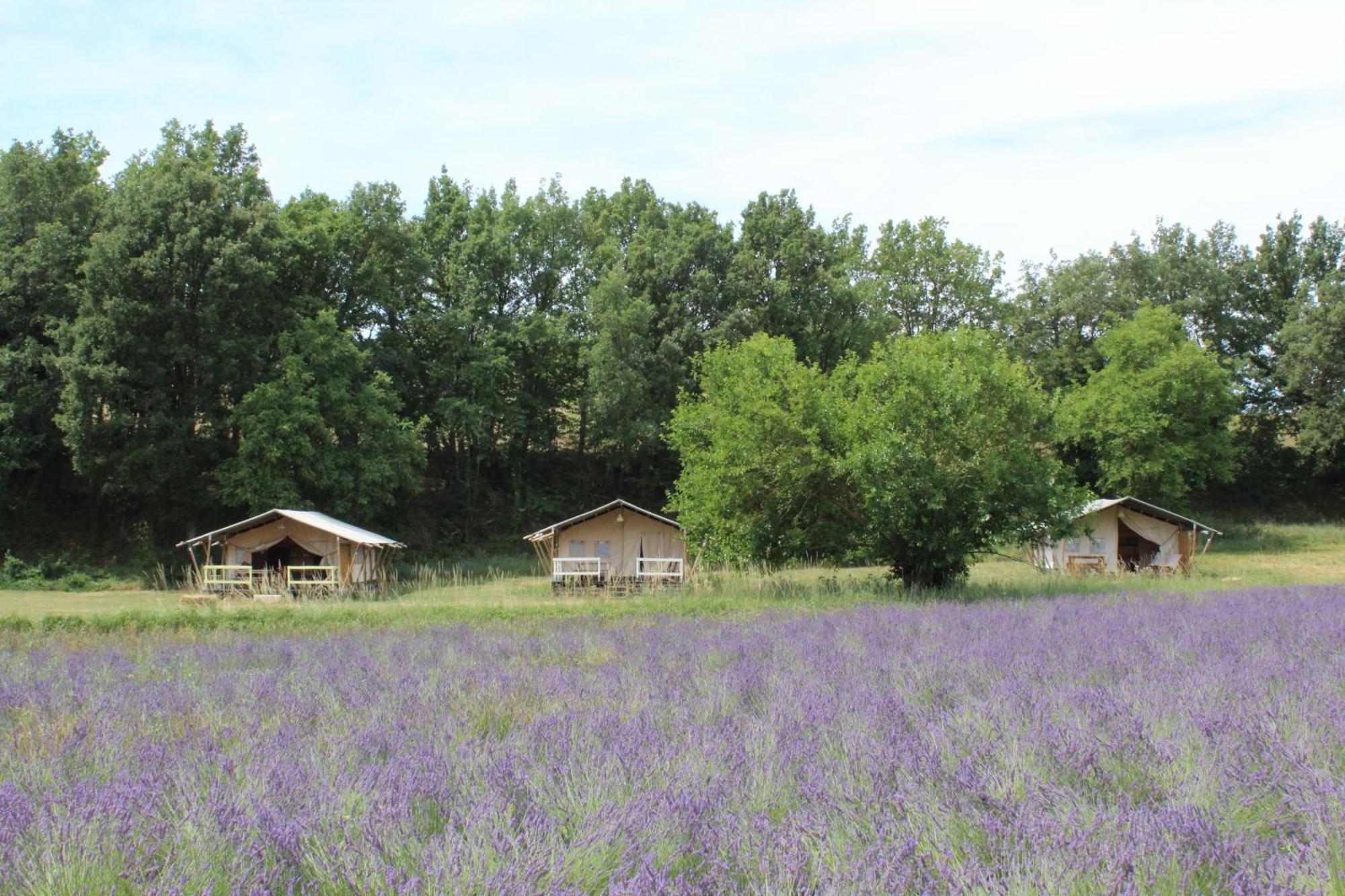 Les Anes De Forcalquier Hotel Kültér fotó