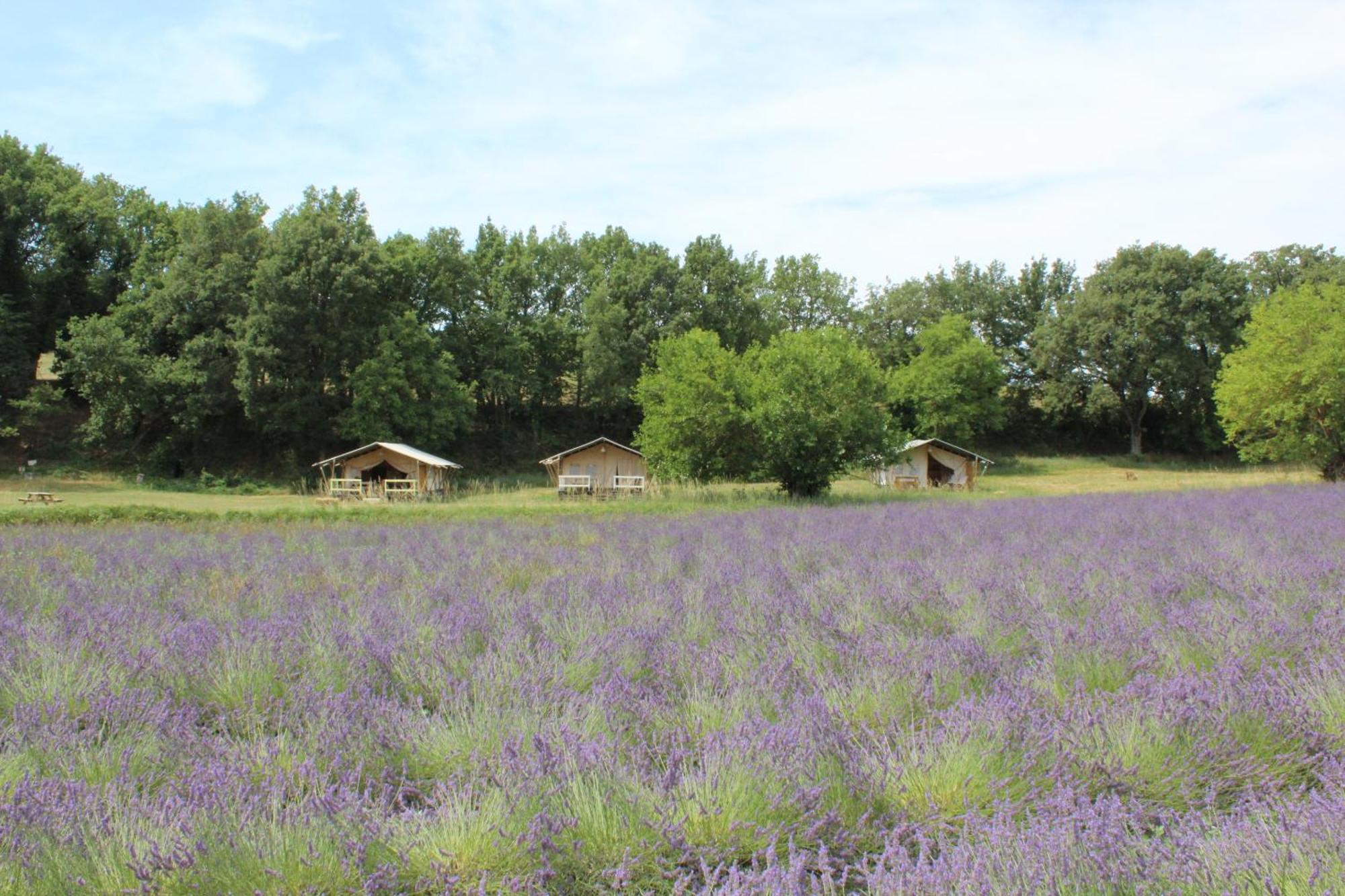 Les Anes De Forcalquier Hotel Kültér fotó