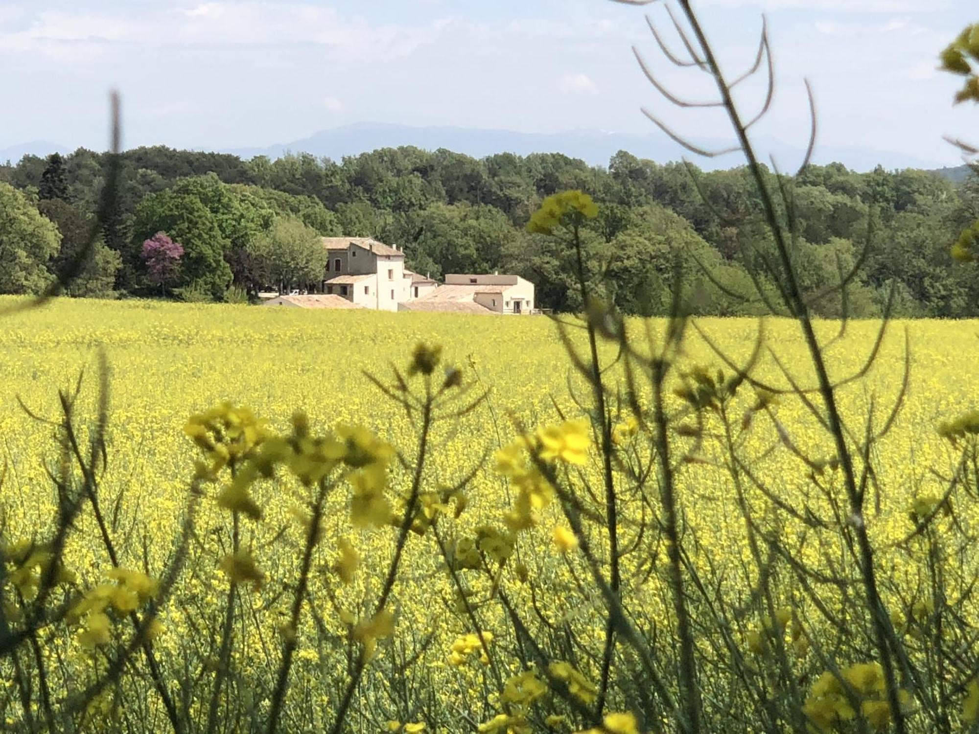 Les Anes De Forcalquier Hotel Kültér fotó