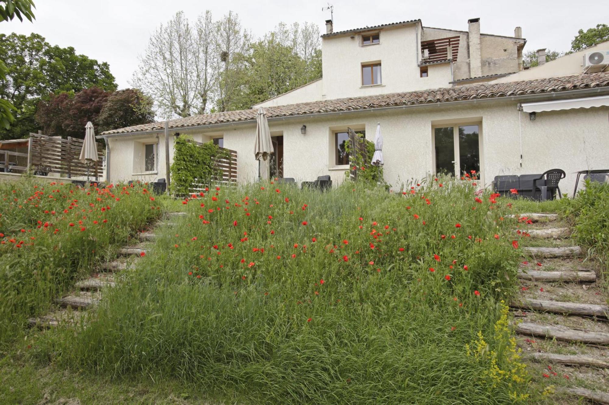 Les Anes De Forcalquier Hotel Szoba fotó