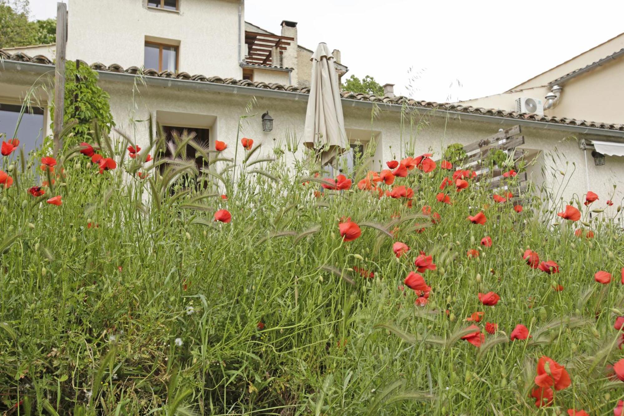 Les Anes De Forcalquier Hotel Szoba fotó